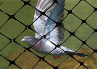 1m - 3m عرض شبکه پرنده برای باغ، شبکه پرنده برای گیاهان زغال اخته