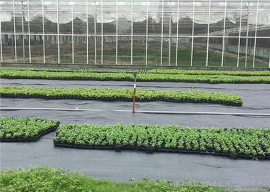 Recycled PP Woven Weed Control Fabric Used In Industry  Agriculture  Garden